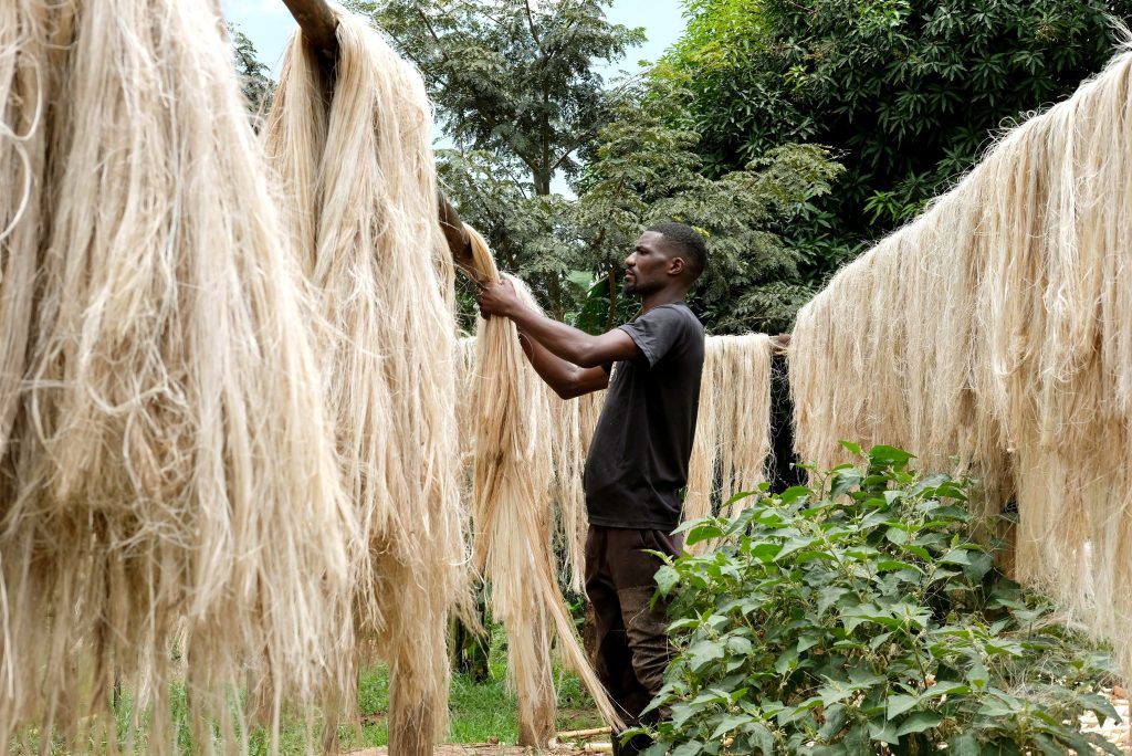 Ugandan Startup Transforms Banana Waste Into Biodegradable Handicrafts