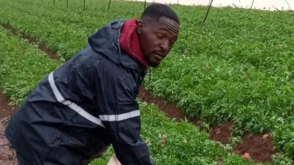 Kenya Sends Farm Workers To Israel To Address Labour Shortage